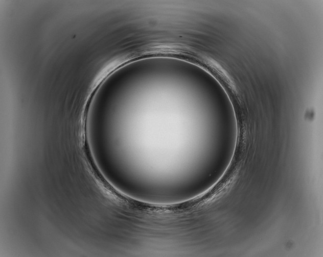 X0000098151370200804171602