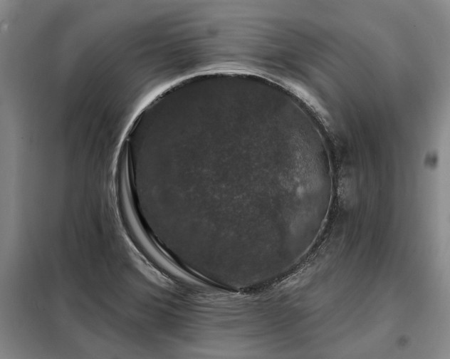 X0000098151372200804171602