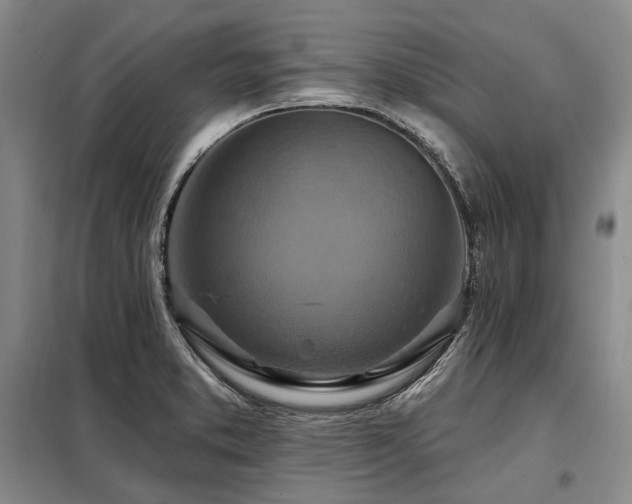 X0000098151373200804171602