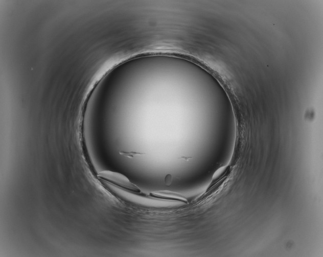 X0000098151374200804171602