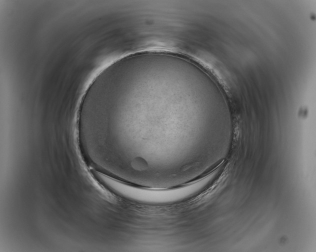 X0000098151375200804171602