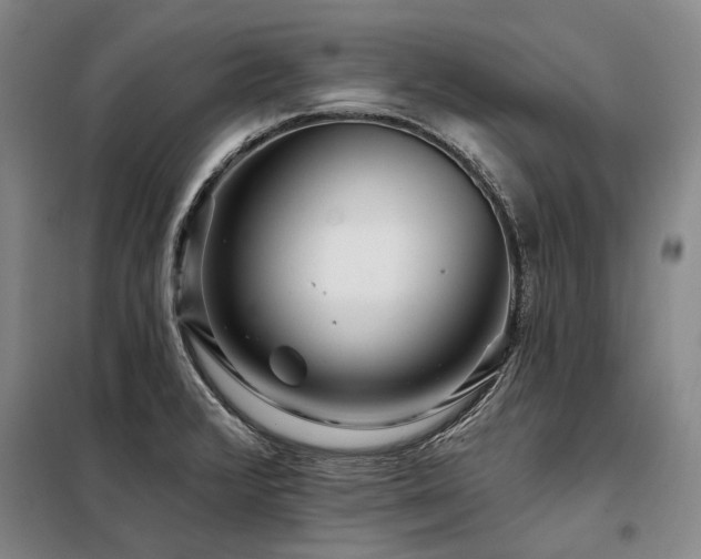 X0000098151376200804171602