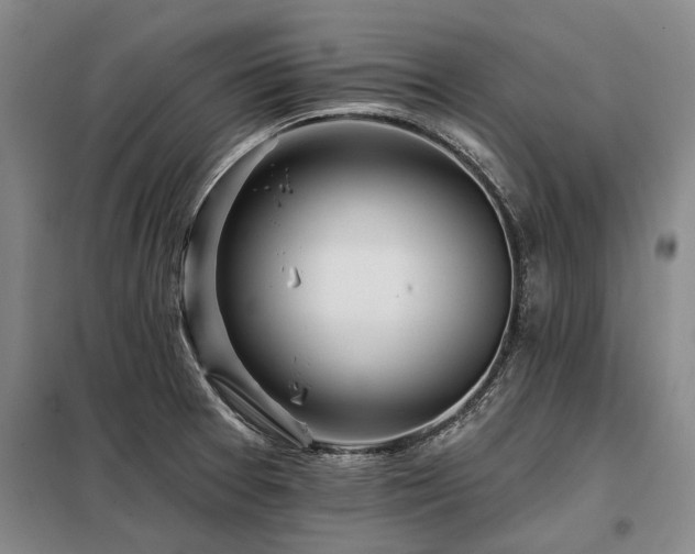 X0000098151377200804171602