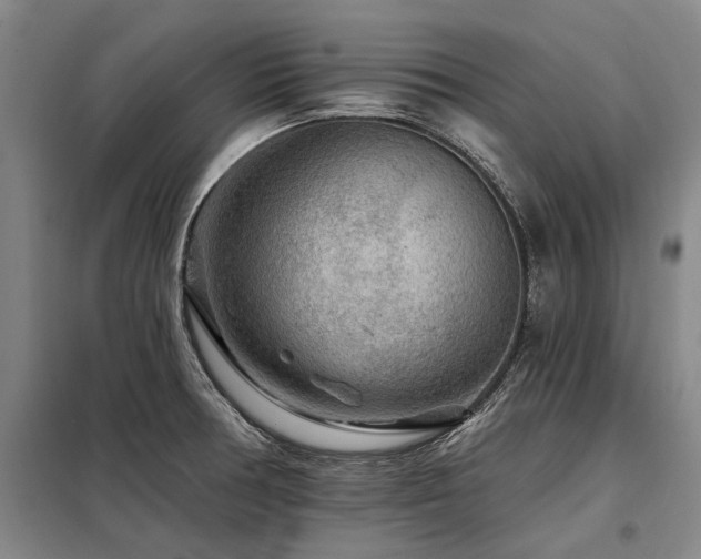 X0000098151378200804171602