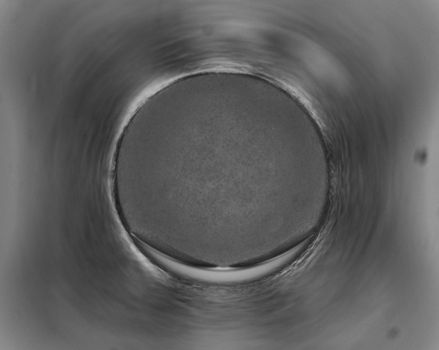 X0000098151379200804171602