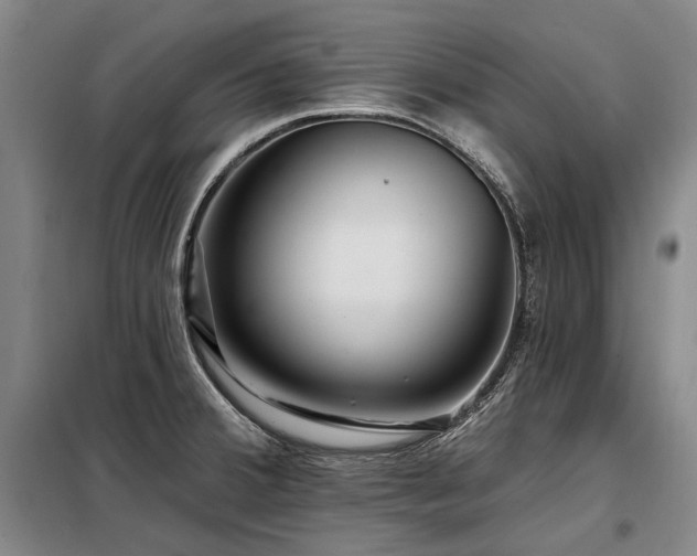 X0000098151380200804171602