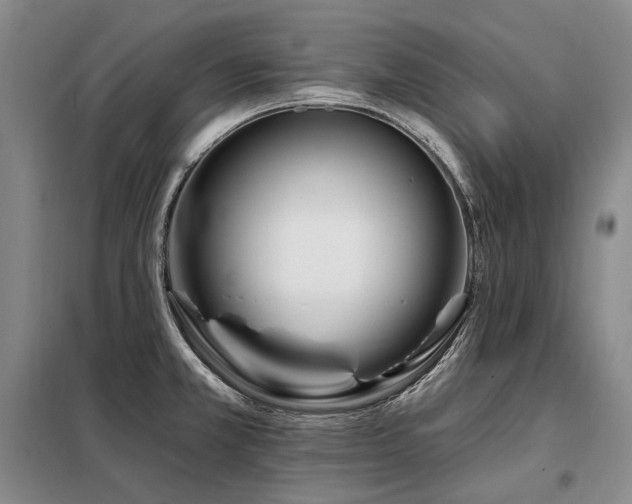 X0000098151381200804171602