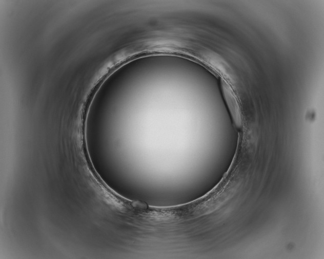 X0000098151384200804171602