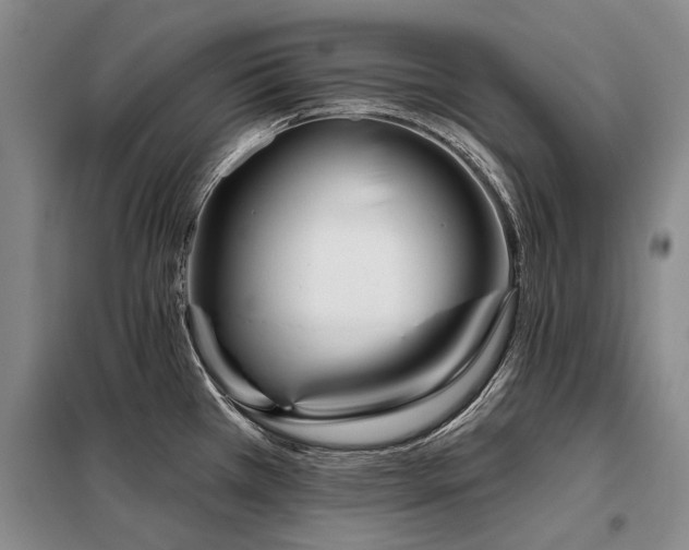 X0000098151385200804171602