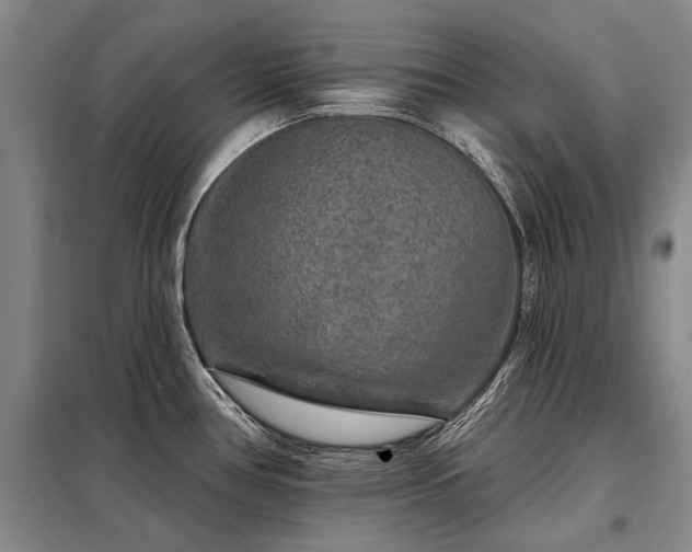 X0000098151386200804171602