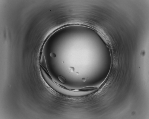 X0000098151388200804171602