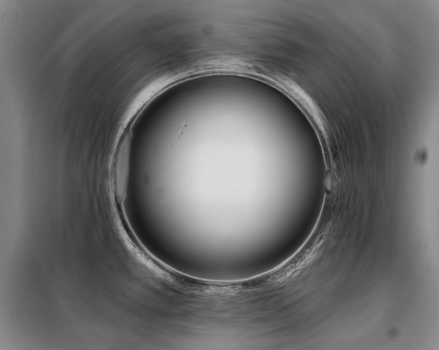 X0000098151389200804171602