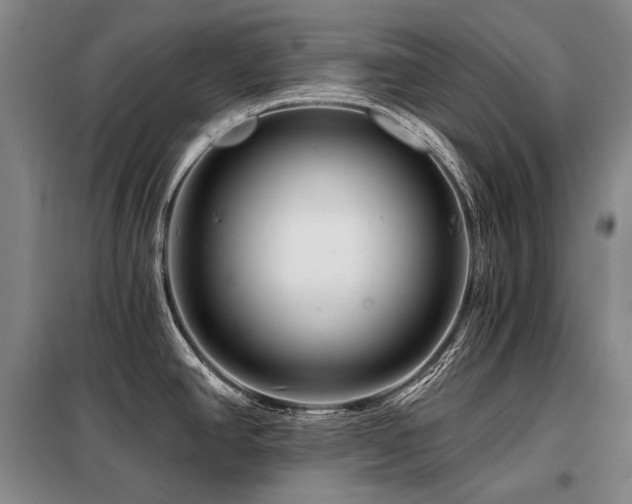 X0000098151390200804171602