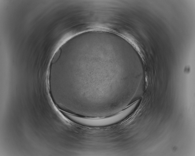 X0000098151391200804171602