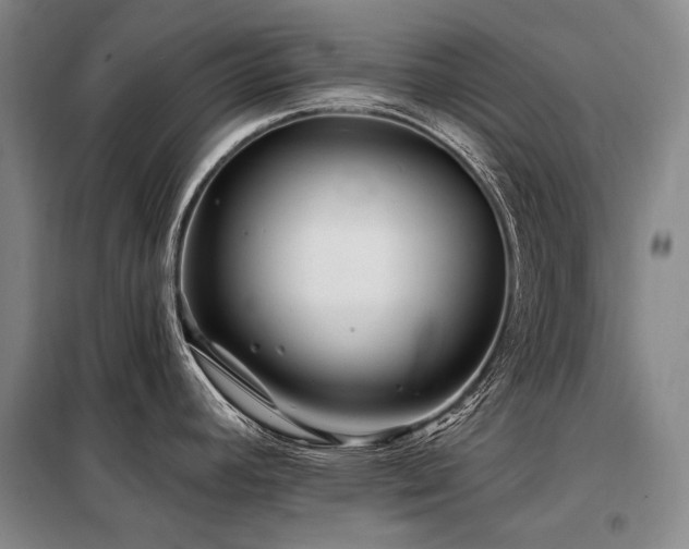 X0000098151392200804171602