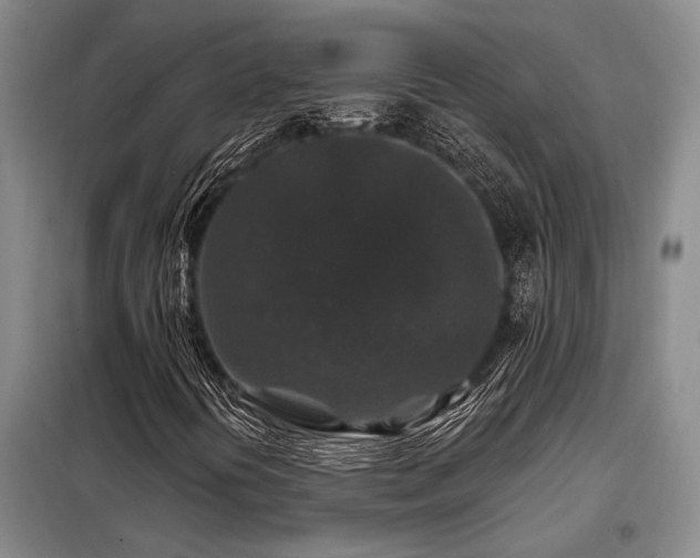 X0000098151394200804171601