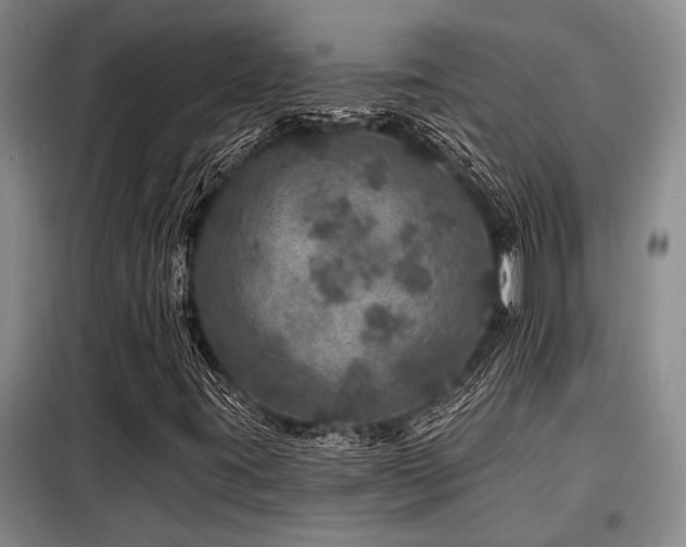 X0000098151395200804171601