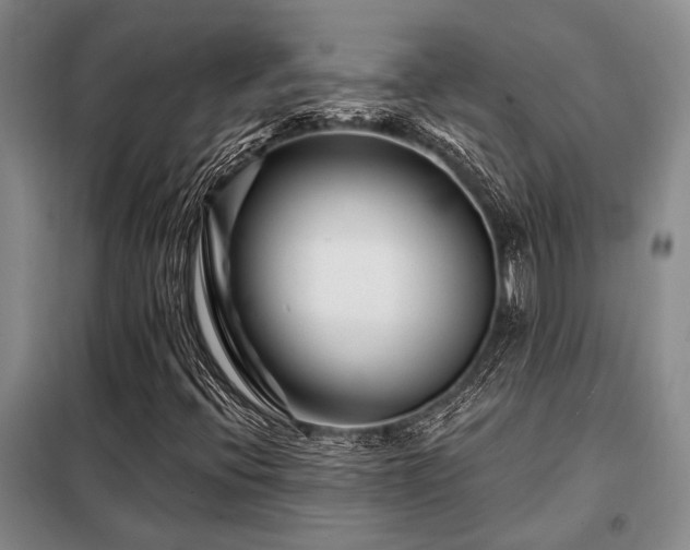 X0000098151396200804171601