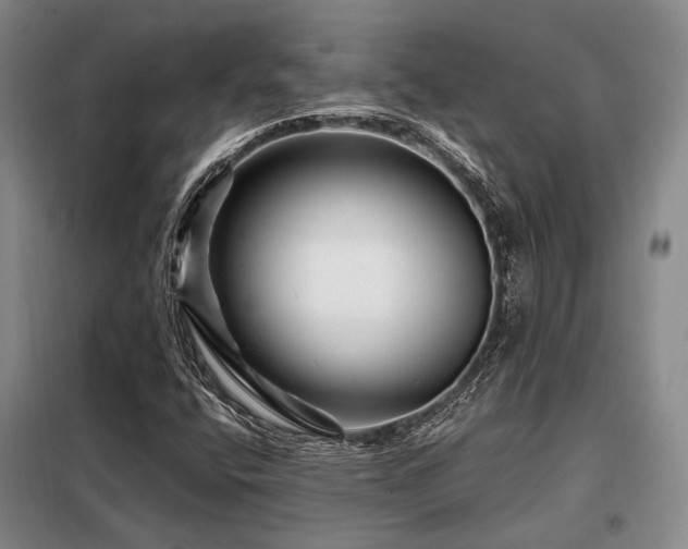 X0000098151400200804171601