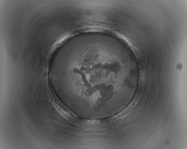 X0000098151403200804171601