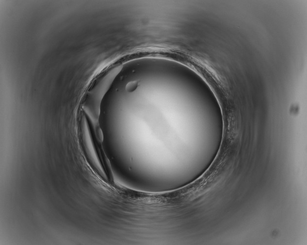 X0000098151404200804171601