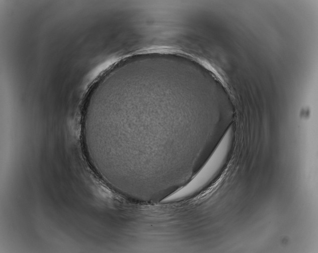X0000098151406200804171601