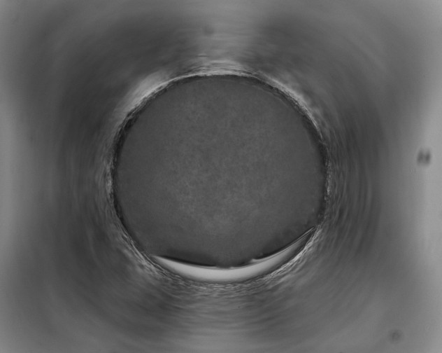 X0000098151407200804171601