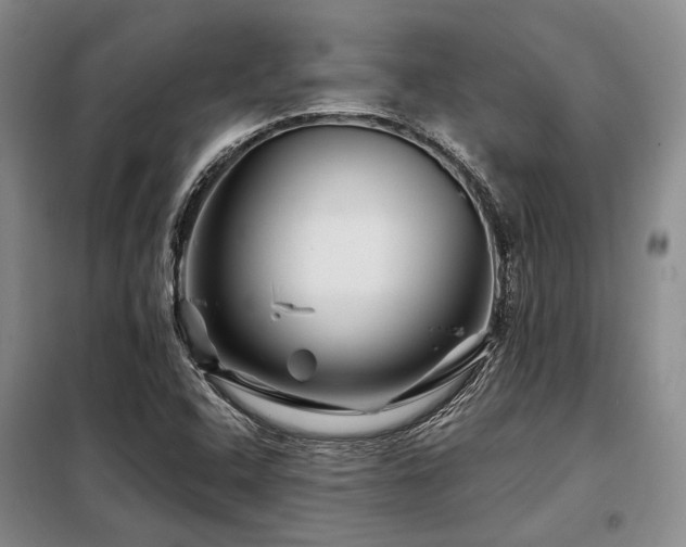 X0000098151408200804171601