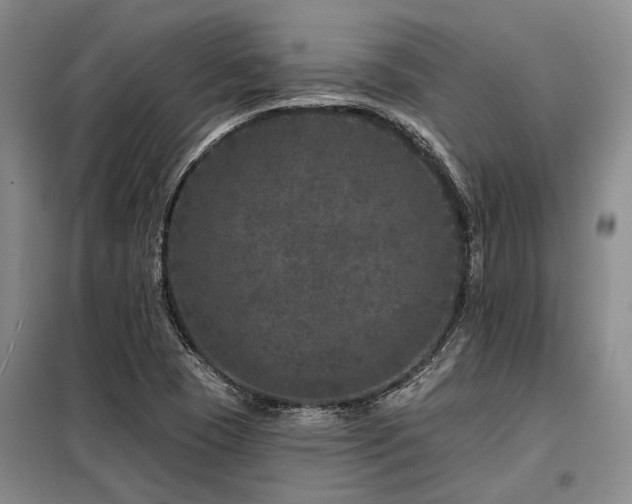 X0000098151409200804171601