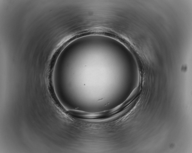 X0000098151410200804171601
