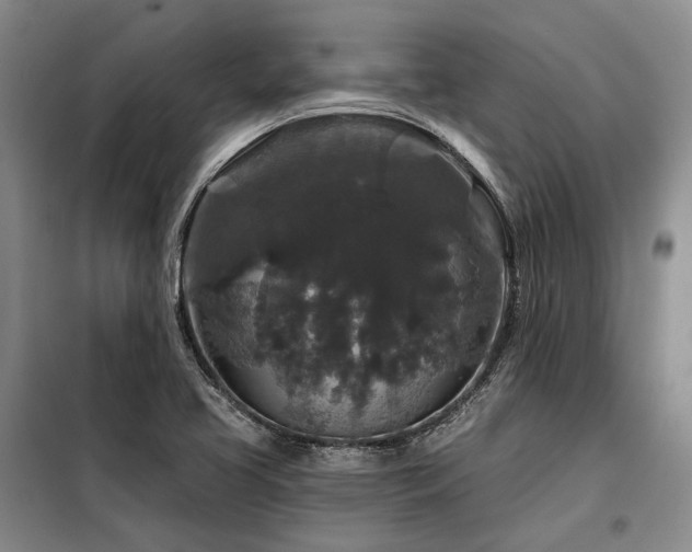 X0000098151413200804171601
