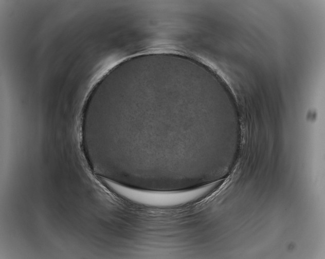 X0000098151415200804171601