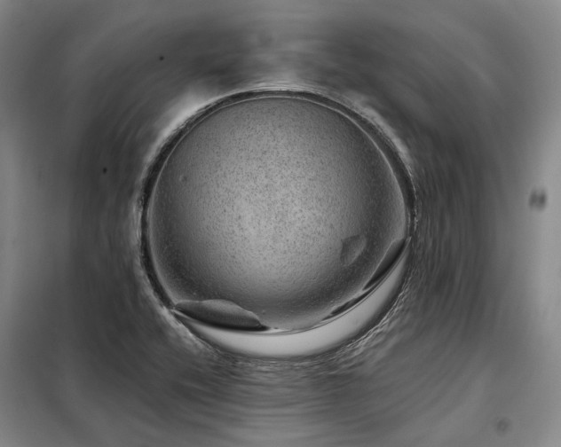 X0000098151416200804171601