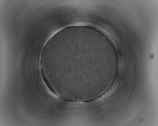 X0000098151417200804171601
