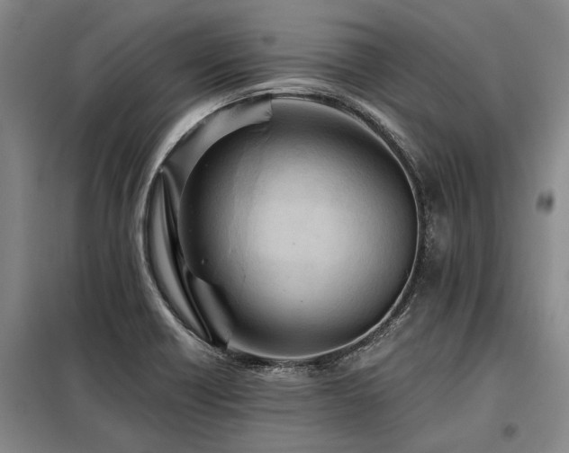 X0000098151418200804171601