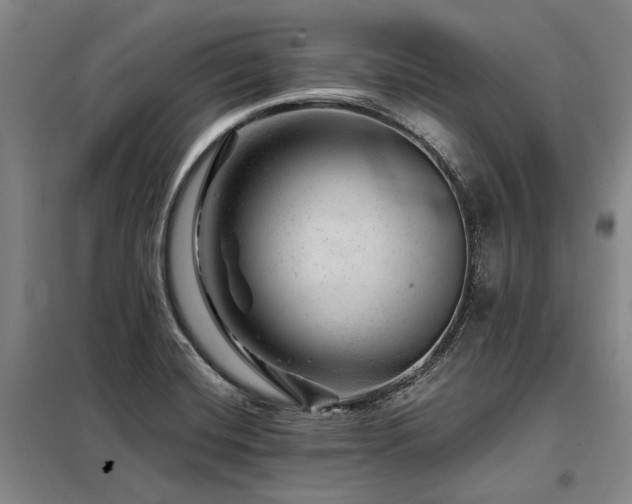 X0000098151420200804171601