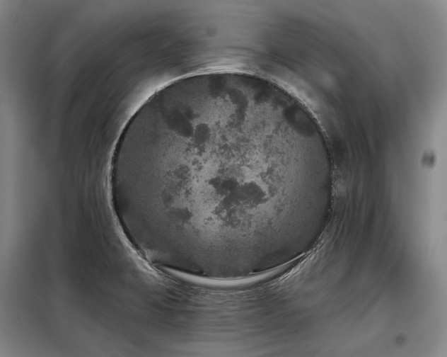 X0000098151423200804171601