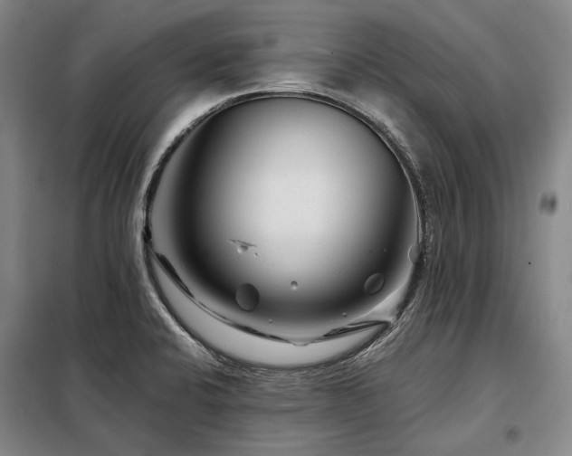 X0000098151424200804171601