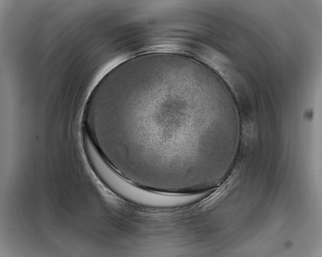 X0000098151426200804171601