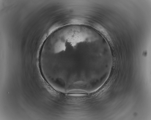 X0000098151427200804171601