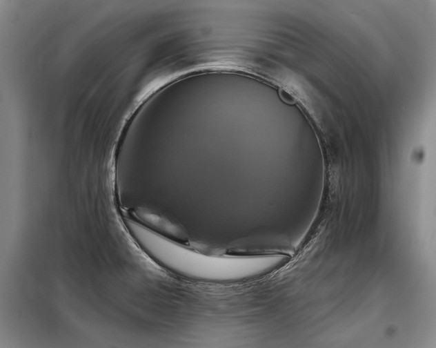 X0000098151428200804171601