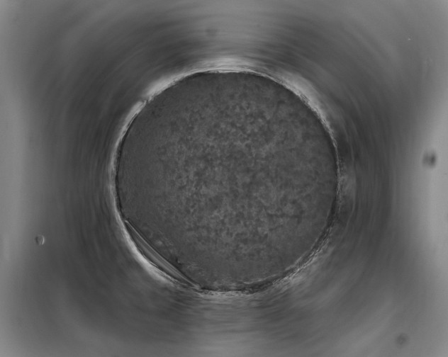 X0000098151429200804171601