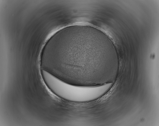 X0000098151430200804171601