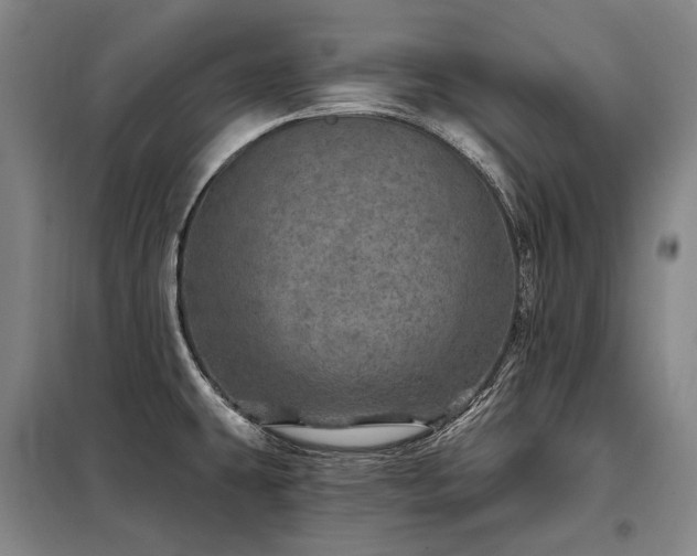 X0000098151431200804171601