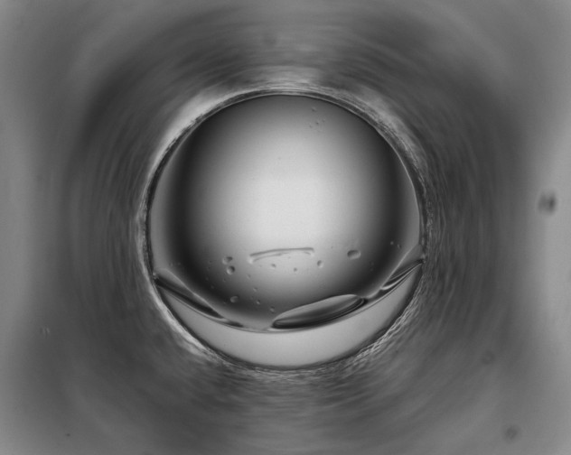 X0000098151432200804171601