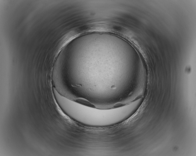 X0000098151433200804171601