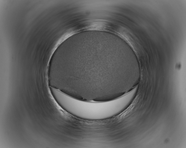 X0000098151434200804171601