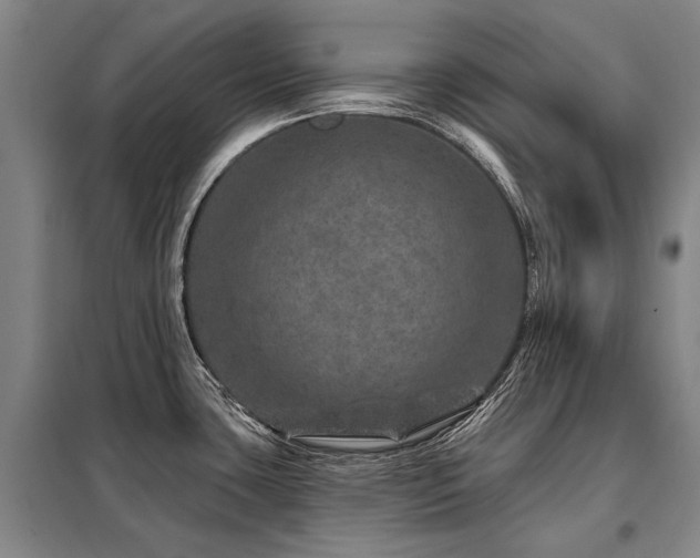 X0000098151435200804171601