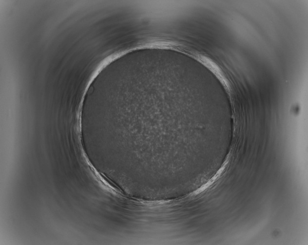 X0000098151436200804171601