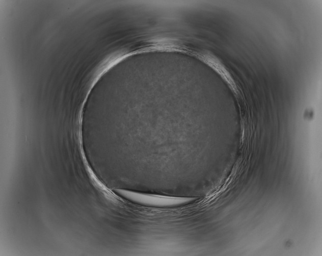 X0000098151439200804171601